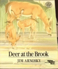 Deer at the Brook