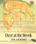 Deer at the Brook
