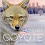 Hungry Coyote