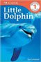 Little Dolphin