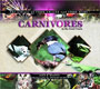 Carnivores in the Food Chain (Library of Food Chains and Food Webs)